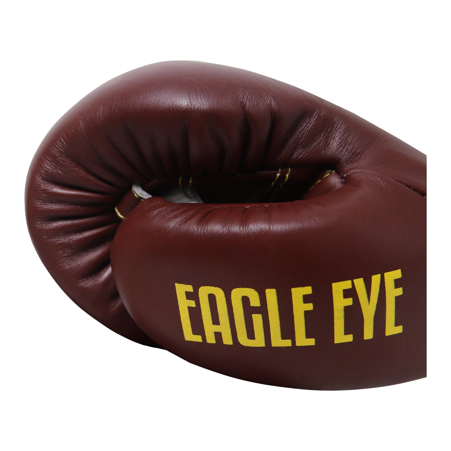 Boxing Gloves Eagle Eye