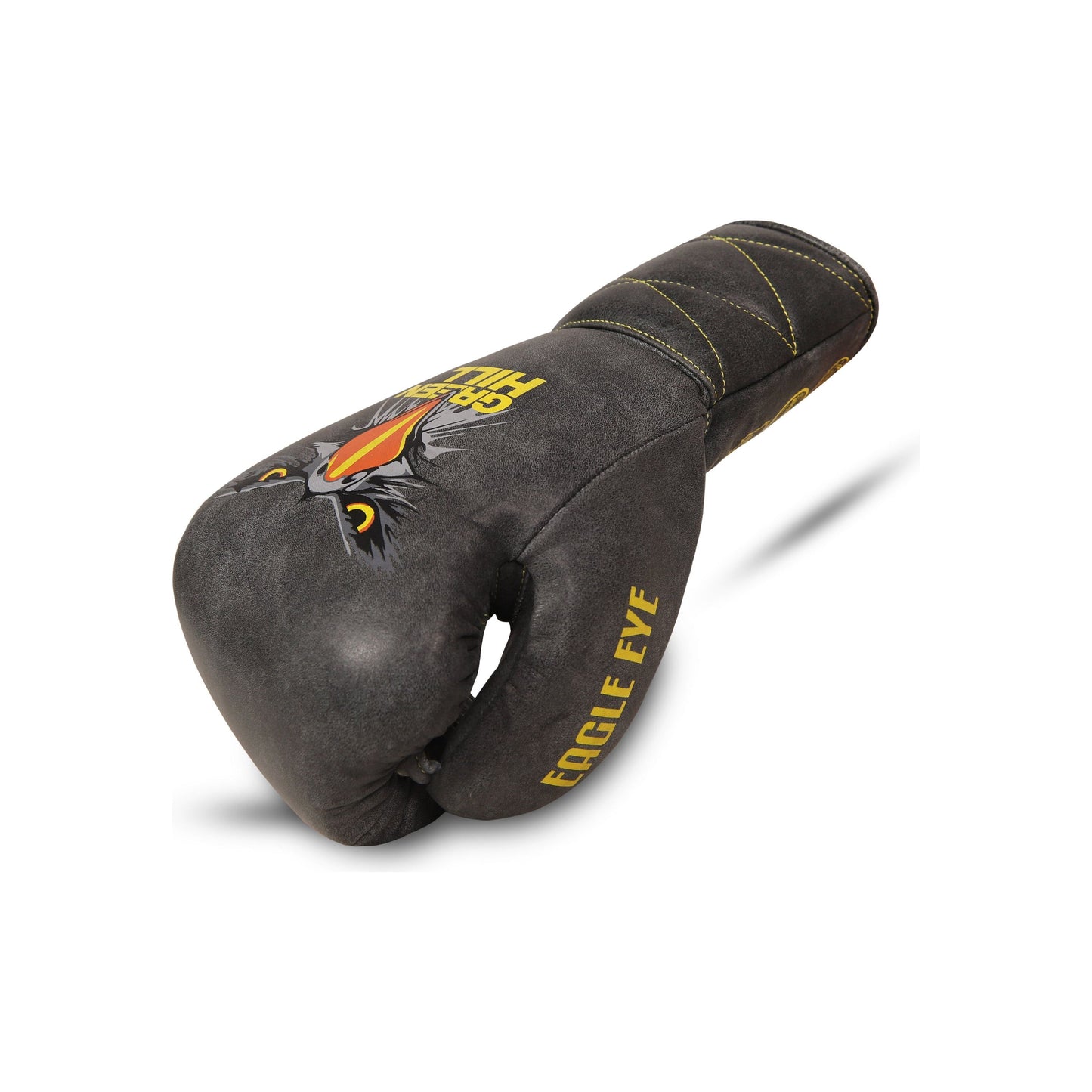 Boxing Gloves Eagle Eye