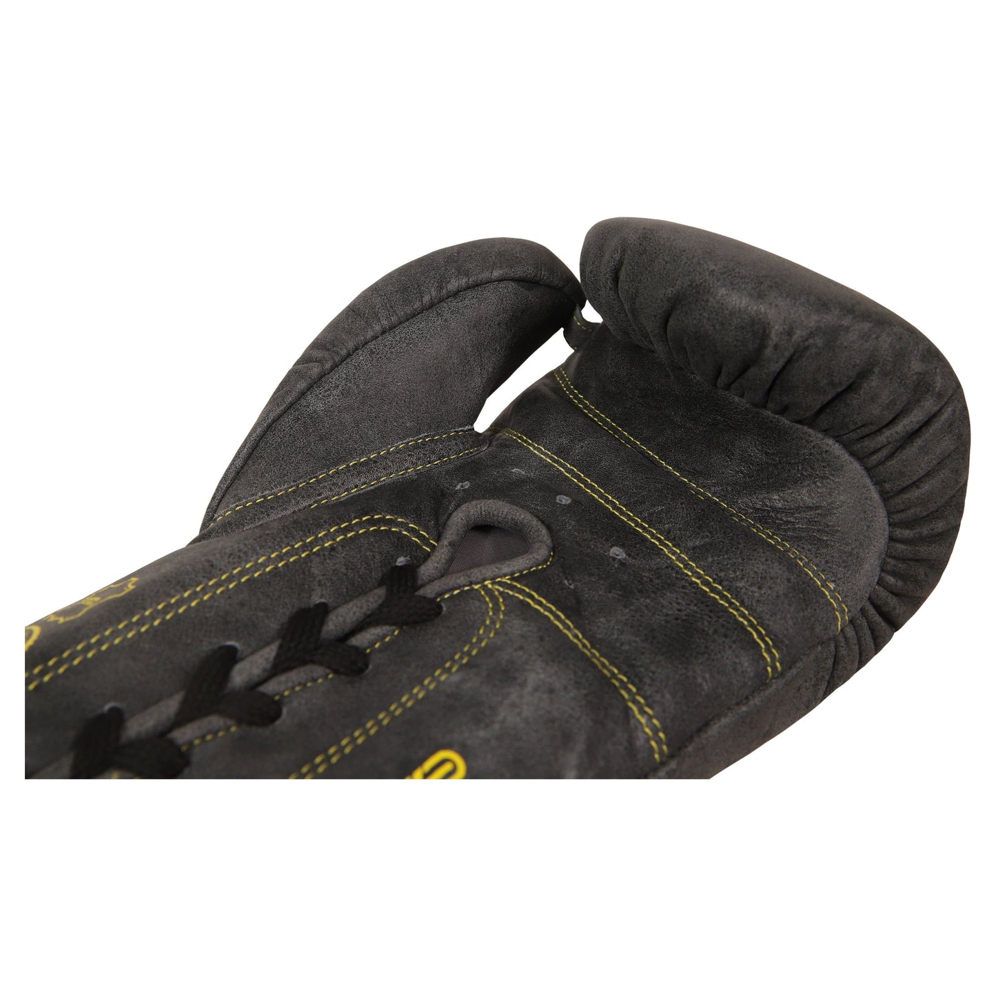 Boxing Gloves Eagle Eye