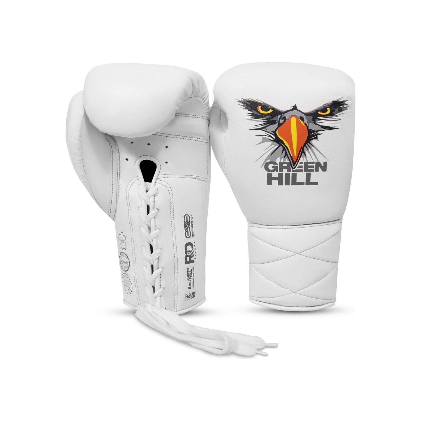 Boxing Gloves Eagle Eye