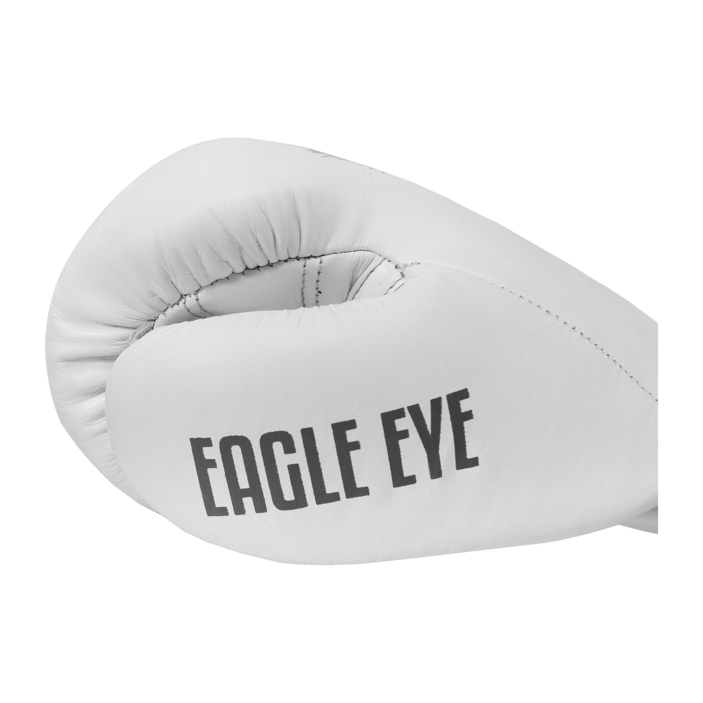 Boxing Gloves Eagle Eye