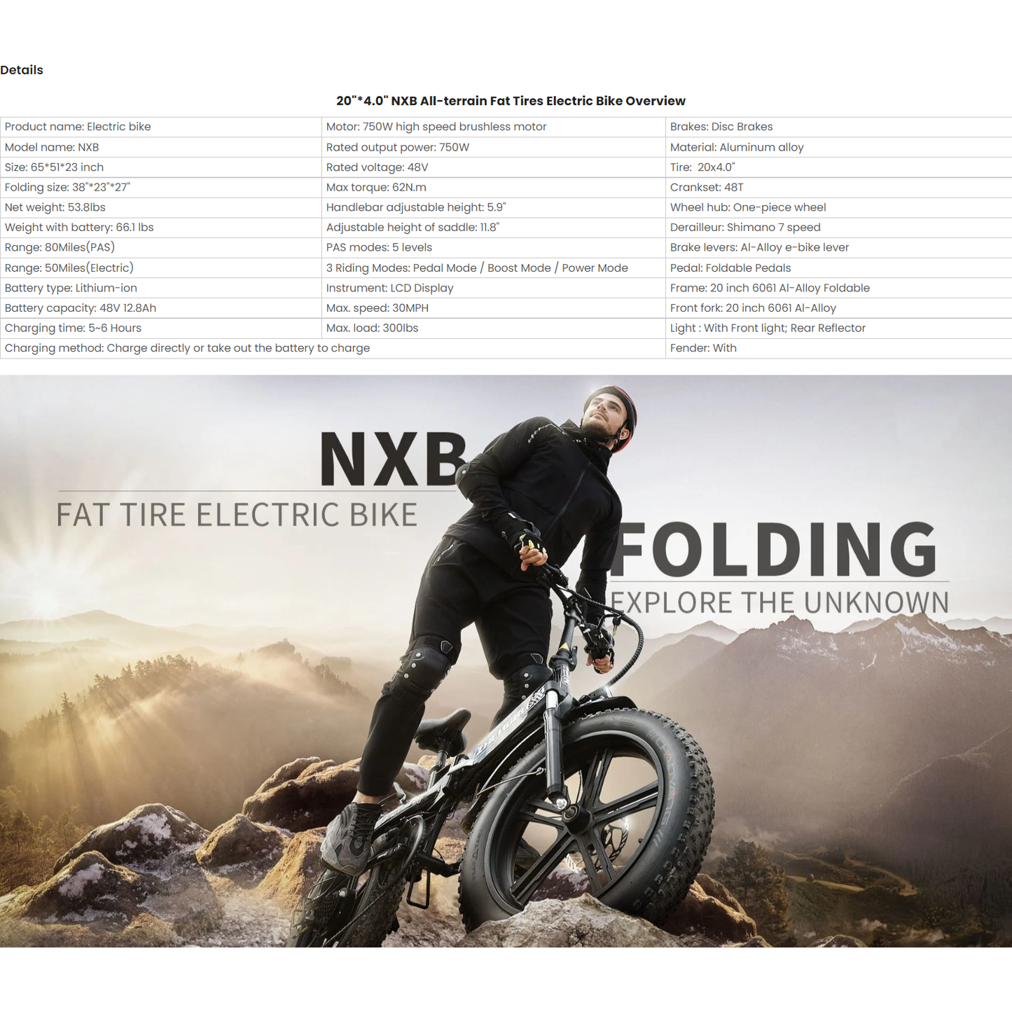 Electric Bike 750W Motor Fat Tire Ebike with Samsung 48V Battery