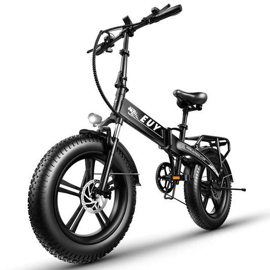 Elektrinis dviratis 750 W variklis Fat Tire Ebike su Samsung 48V baterija
