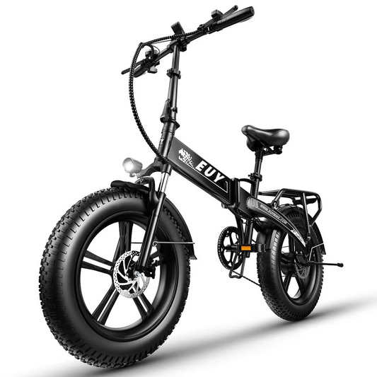 Elektrische fiets 750W motor Fat Tire Ebike met Samsung 48V batterij