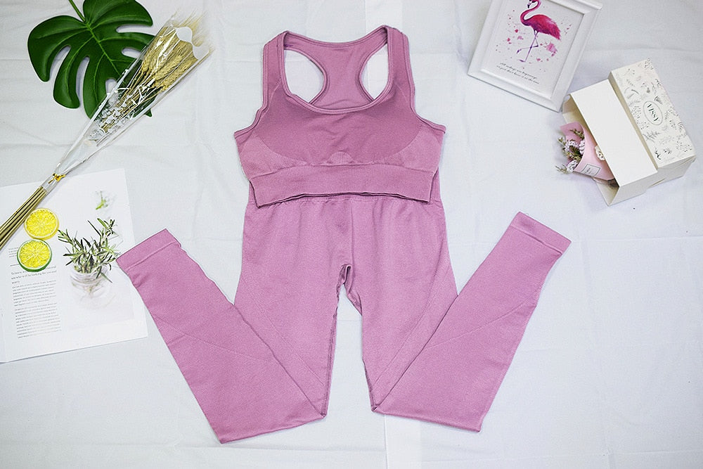 Seamless Gym Set Women Sport Suit Yoga Sets 2 Pcs Tracksuits Fitness