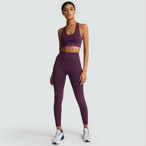 Seamless Gym Set Women Sport Suit Yoga Sets 2 Pcs Tracksuits Fitness