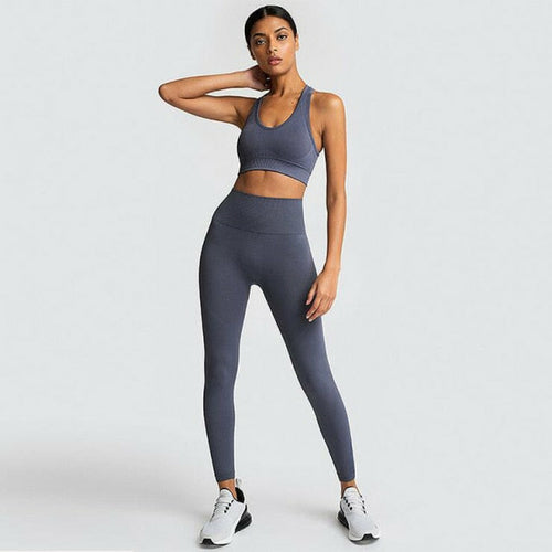 Seamless Gym Set Women Sport Suit Yoga Sets 2 Pcs Tracksuits Fitness