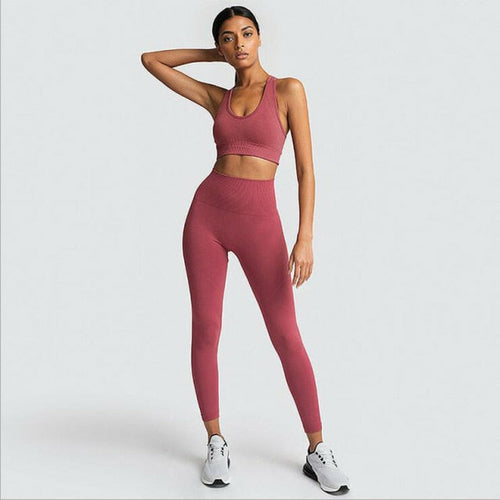 Seamless Gym Set Women Sport Suit Yoga Sets 2 Pcs Tracksuits Fitness