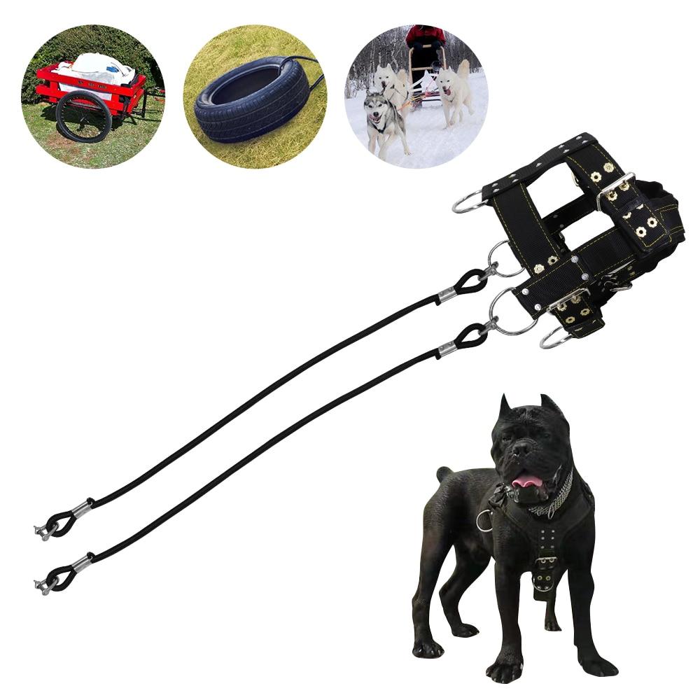 Strong Nylon Pet Harness Dog Training Products Large Dogs Weight