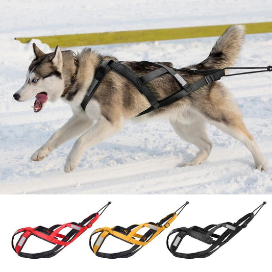 Waterproof Dog Sledding Harness Reflective Pet Sledding Skijoring