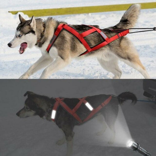 Waterproof Dog Sledding Harness Reflective Pet Sledding Skijoring